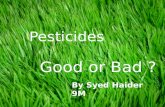 Good or Bad ? Pesticides By Syed Haider 9M. Pesticides are basically chemicals that are sprayed on plants and crops to kill any insects that my eat them.
