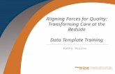 Aligning Forces for Quality: Transforming Care at the Bedside Data Template Training Kathy Vezina.