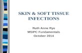 SKIN & SOFT TISSUE INFECTIONS Ruth Anne Rye MSIPC Fundamentals October 2014.