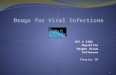 HIV & AIDS Hepatitis Herpes Virus Influenza Chapter 36 1.