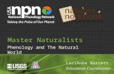 Phenology and The Natural World Master Naturalists LoriAnne Barnett Education Coordinator.