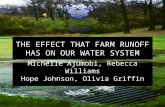 THE EFFECT THAT FARM RUNOFF HAS ON OUR WATER SYSTEM Michelle Ajumobi, Rebecca Williams Hope Johnson, Olivia Griffin.