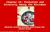 Chapter 13: Evolution and Diversity Among the Microbes Bacteria, archaea, protists, and viruses: the unseen world Lectures by Mark Manteuffel, St. Louis.