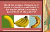 Does the degree of ripeness of bananas used to make banana ice cream affect the overall preference of consumers?