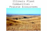 Illinois Plant Communities – Prairie Ecosystems.
