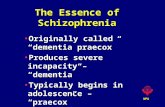 WPA The Essence of Schizophrenia Originally called “dementia praecox”Originally called “dementia praecox” Produces severe incapacity – “dementia”Produces.