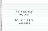 The Nervous System Gaiser Life Science Know What are the three functions of the nervous system? Evidence Page 69 The Nervous System “I don’t know any.”