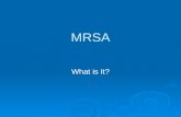 MRSA What is It?. MRSA  Methicillin-resistant staphaureus (MRSA)  Caused more than 94,000 life-threatening infections and nearly 19,000 deaths in 2005.