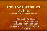 The Evolution of Aging A GK-12 Project Presentation Michael R. Rose Dept. of Ecology and Evolutionary Biology University of California, Irvine.