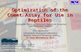 Optimization of the Comet Assay for Use in Reptiles Testing the Effects of Genotoxic Agents on Estuarine and Freshwater Reptiles John Spinicchia Chesapeake.