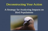 Deconstructing Your Action A Strategy for Analyzing Impacts on Bird Populations.