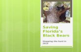 Saving Florida’s Black Bears Stopping the hunt in 2015.