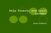 Kelp Forests and Coral Gardens Amanda Dougherty. Geography of Coral Reef and Kelp Forest Locations Worldwide