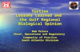 Turtles Lessons Learned and the Gulf Regional Biological Opinion Bob Prince Chief, Operations and Regulatory Community of Practice South Atlantic Division.
