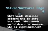 What words describe someone who is left-brained? What words would describe someone who is right- brained?