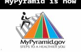 1 MyPyramid is now …. 2 … MyPlate 3 MyPlate calls the former MyPyramid “Meat & Beans Group” the “Protein Group” MyPlate update.
