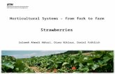 2.11.2007 Horticultural Systems – from fork to farm © ETH Zürich Strawberries Salomeh Ahmadi Abhari, Diana Niklaus, Daniel Fröhlich.