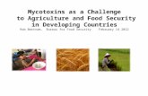 Mycotoxins as a Challenge to Agriculture and Food Security in Developing Countries Rob Bertram, Bureau for Food Security February 14 2012.