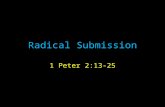 Radical Submission 1 Peter 2:13-25. 1 Peter 2:13-25 Introduction.
