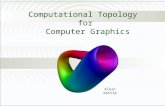 Computational Topology for Computer Graphics Klein bottle.