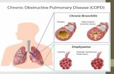 Chronic Obstructive Pulmonary Disease ystic Fibrosis ronchitis – Chronic sthma ronchiectasis mphysema.