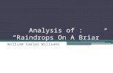 Analysis of : “Raindrops On A Briar” William Carlos Williams.