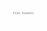 File formats. Many different file formats We have seen that PhotoPlus can export a picture into a.jpg file This is only one of many different digital.