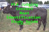 FFA Judging Contest Meat Identification Study Guide First Edition, 2003 By Tom McCutcheon.
