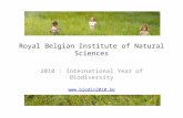 Royal Belgian Institute of Natural Sciences 2010 : International Year of Biodiversity .