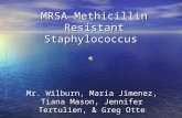 MRSA—Methicillin Resistant Staphylococcus Mr. Wilburn, Maria Jimenez, Tiana Mason, Jennifer Tertulien, & Greg Otte.