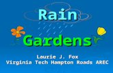 RainGardens Laurie J. Fox Virginia Tech Hampton Roads AREC.