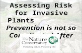 1 Assessing Risk for Invasive Plants Prevention is not so Complicated After All…