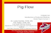 Pig Flow Dr. Locke Karriker, DVM, MS R.B. Baker, DVM, MS Food Supply Veterinary Medicine Department of Veterinary Diagnostic and Production Animal Medicine.