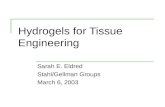Hydrogels for Tissue Engineering Sarah E. Eldred Stahl/Gellman Groups March 6, 2003.