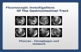 Fluoroscopic Investigations Of The Gastrointestinal Tract Fluoroscopic Investigations Of The Gastrointestinal Tract Pharynx, Oesophagus and stomach.