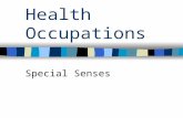 Health Occupations Special Senses. Functions of our special senses Allows human body to react to environment Enables the body to –See –Hear –Taste –Balance.