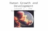 Human Growth and Development Lesson 1 – The Reproductive System.