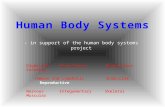 - in support of the human body systems project DigestiveCirculatory Respiratory Excetory Immune and Lymphatic Endocrine Reproductive NervousIntegumentary.