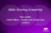SDS: Driving Creativity Ron Culley Chief Officer - Health and Social Care COSLA Ron Culley Chief Officer - Health and Social Care COSLA.