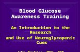 Blood Glucose Awareness Training An Introduction to the Research and Use of Neuroglycopenic Cues John Zrebiec, MSW, CDE Joslin Diabetes Center.