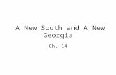 A New South and A New Georgia Ch. 14. Standards SS8H7 – Evaluate key political, social and economic changes that occurred in Georgia between 1877 and.