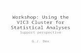 Workshop: Using the VIC3 Cluster for Statistical Analyses Support perspective G.J. Bex.