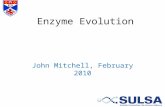 Enzyme Evolution John Mitchell, February 2010. Theories of Enzyme Evolution.
