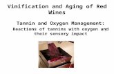 Vinification and Aging of Red Wines Tannin and Oxygen Management: Reactions of tannins with oxygen and their sensory impact.