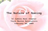 The Nature of Naming El Camino Real Chapter Texas Master Naturalists February 10, 2009.