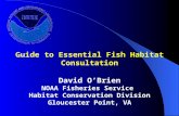 Guide to Essential Fish Habitat Consultation David O’Brien NOAA Fisheries Service Habitat Conservation Division Gloucester Point, VA.