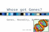 Baker 2003/2004 Whose got Genes? Genes, Heredity, & DNA.