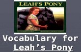 Vocabulary for Leah’s Pony. Word Knowledge Unit 6, Lesson 3 What do these words have in common? What do these words have in common? fine finer finest.