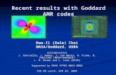 Recent results with Goddard AMR codes Dae-Il (Dale) Choi NASA/Goddard, USRA Collaborators J. Centrella, J. Baker, J. van Meter, D. Fiske, B. Imbiriba (NASA/Goddard)