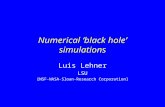Numerical ‘black hole’ simulations Luis Lehner LSU [NSF-NASA-Sloan-Research Corporation]